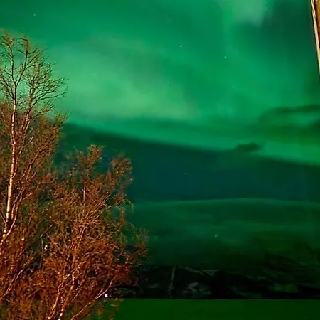 Sjotun House * Senja